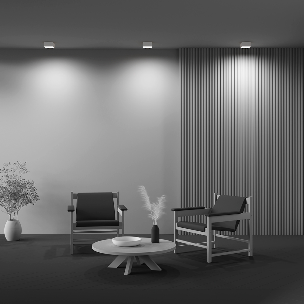 Дополнительная картинка Потолочный светильник Technical C032CL-12W4K-SQ-W
