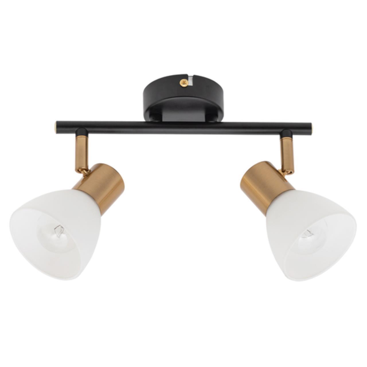 Дополнительная картинка Настенно-потолочный светильник Arte Lamp Falena A3117PL-2BK