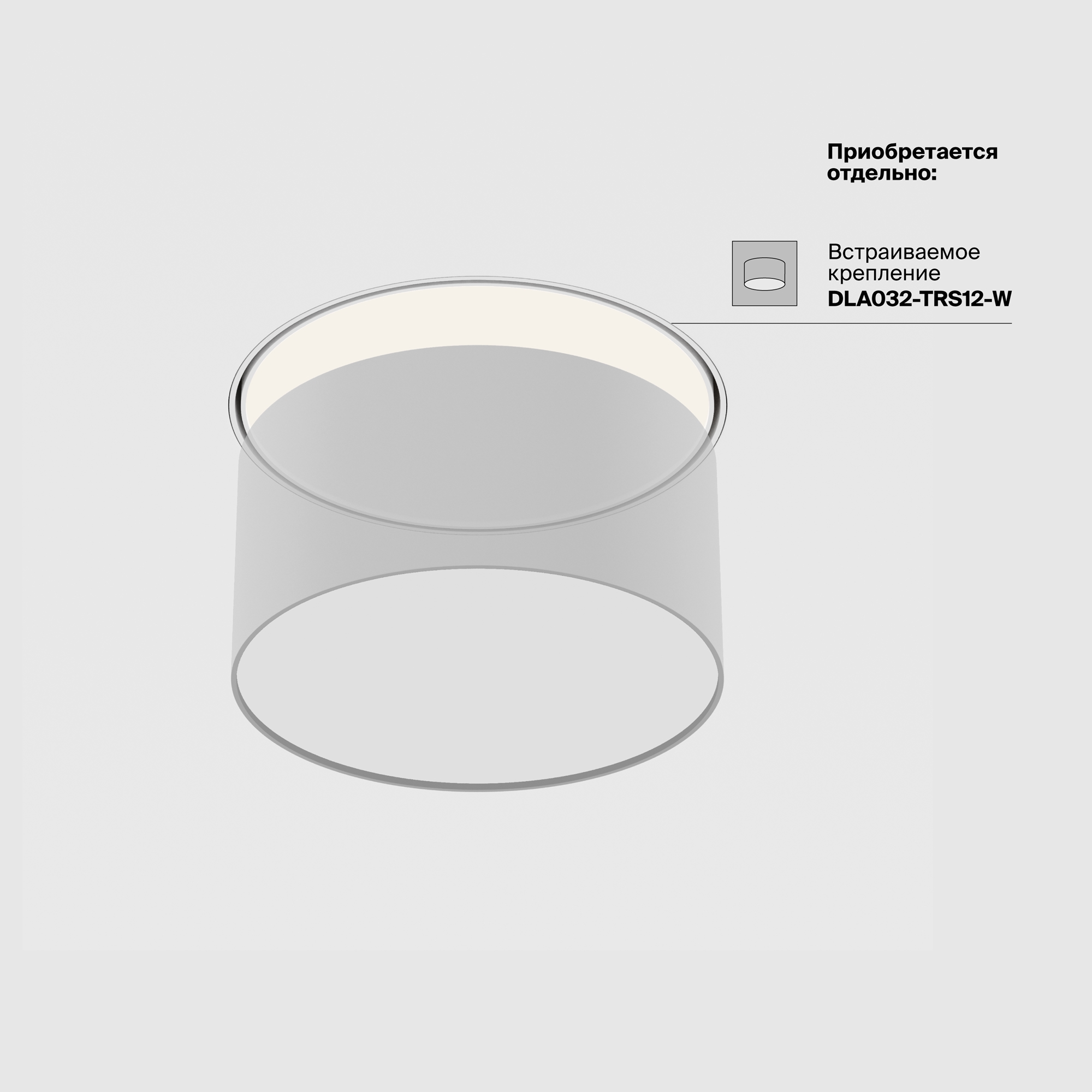 Дополнительная картинка Потолочный светильник Technical C032CL-12W4K-RD-MG