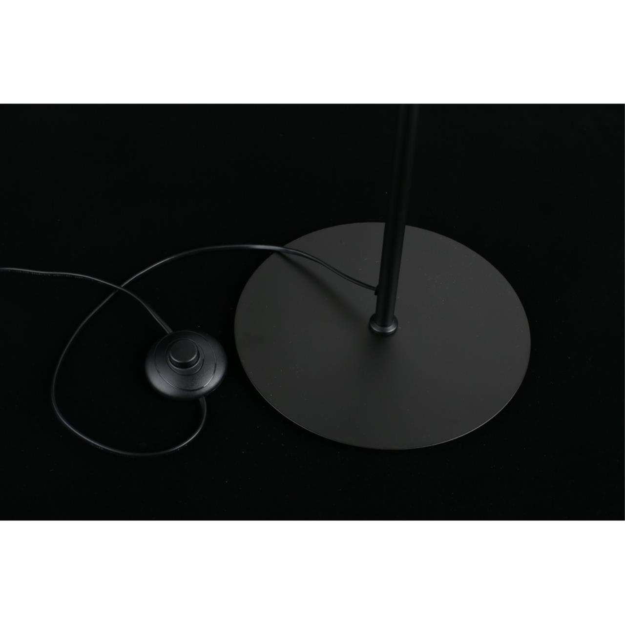 Картинка APL.312.05.04 Торшер Aployt Jagna