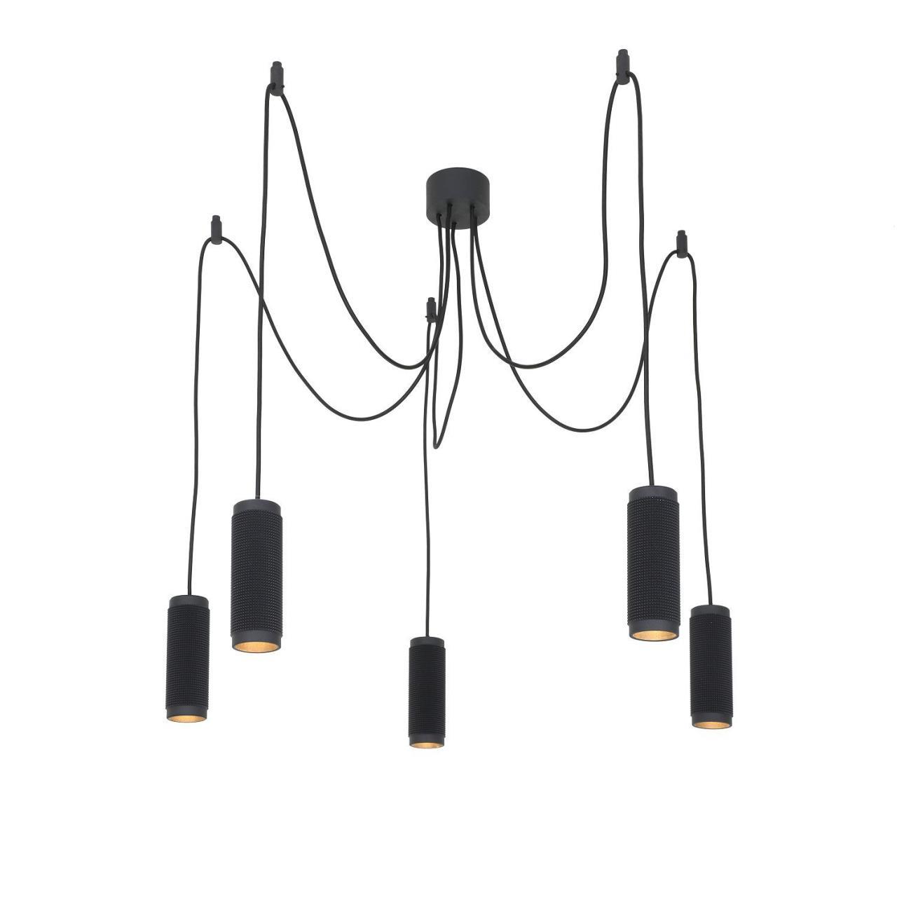 Картинка Подвесная люстра Favourite Kinescope 2452-5P