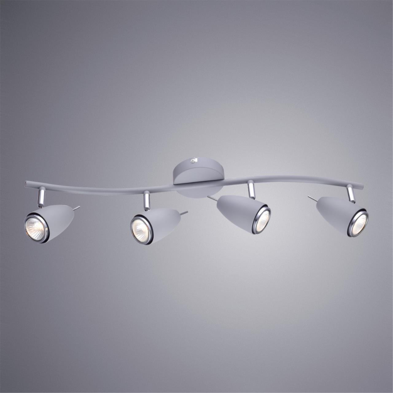 Дополнительная картинка Настенно-потолочный светильник Arte Lamp Regista A1966PL-4GY
