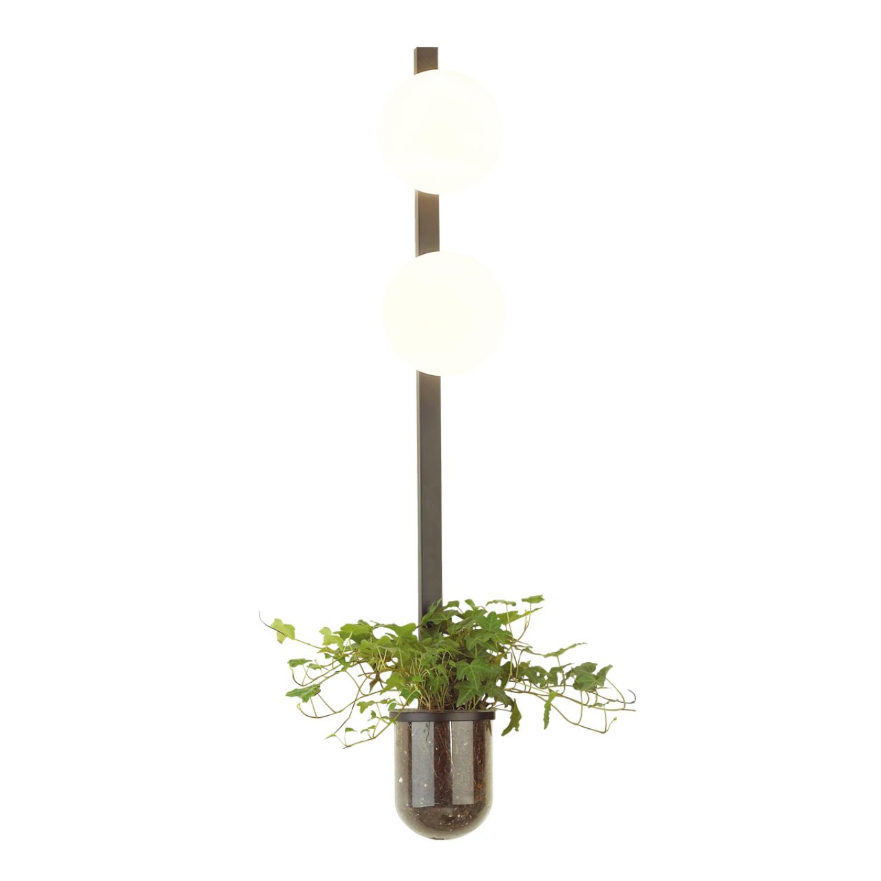 Картинка Настенный светильник Odeon Light Walli Flower 4681/2WA