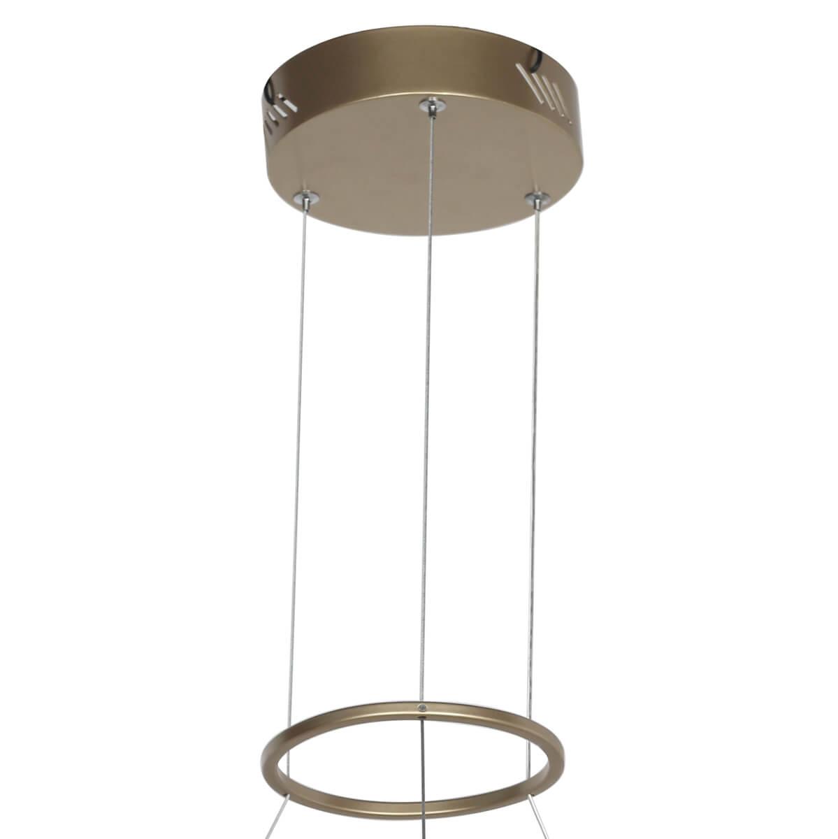 Картинка Подвесной светодиодный светильник Favourite Ria 2352-5P