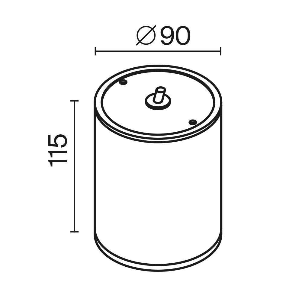 Дополнительная картинка Потолочный светильник Outdoor O306CL-L7GF