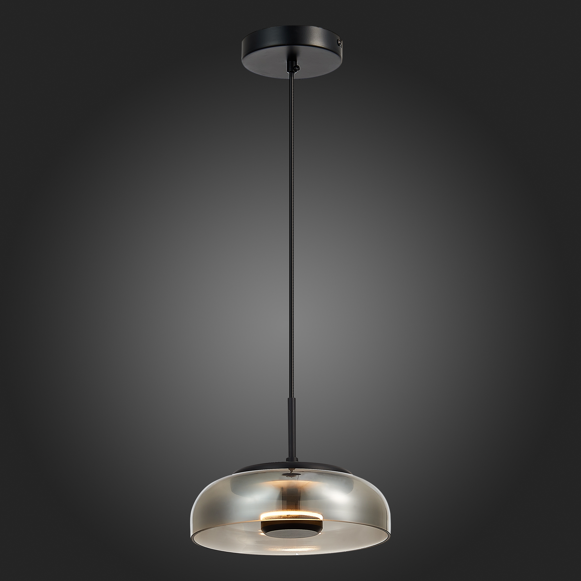 Дополнительная картинка Подвесной светодиодный светильник ST Luce Lazio SL6002.403.01