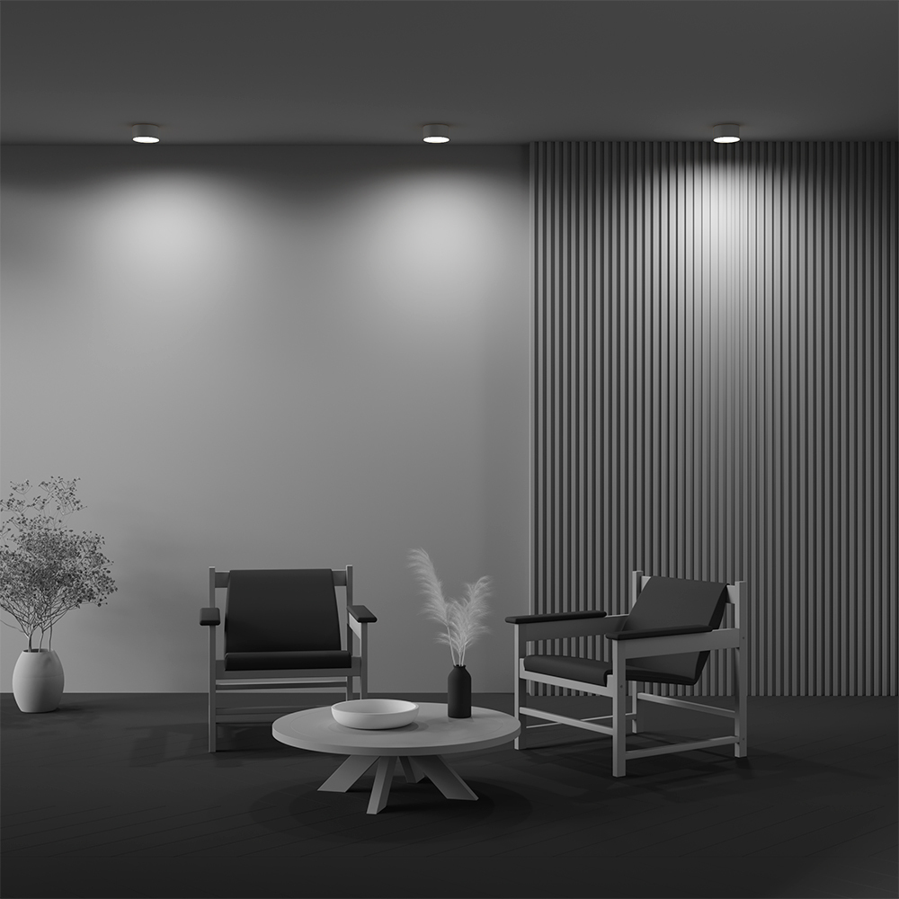 Дополнительная картинка Потолочный светильник Technical C032CL-12W4K-RD-MG