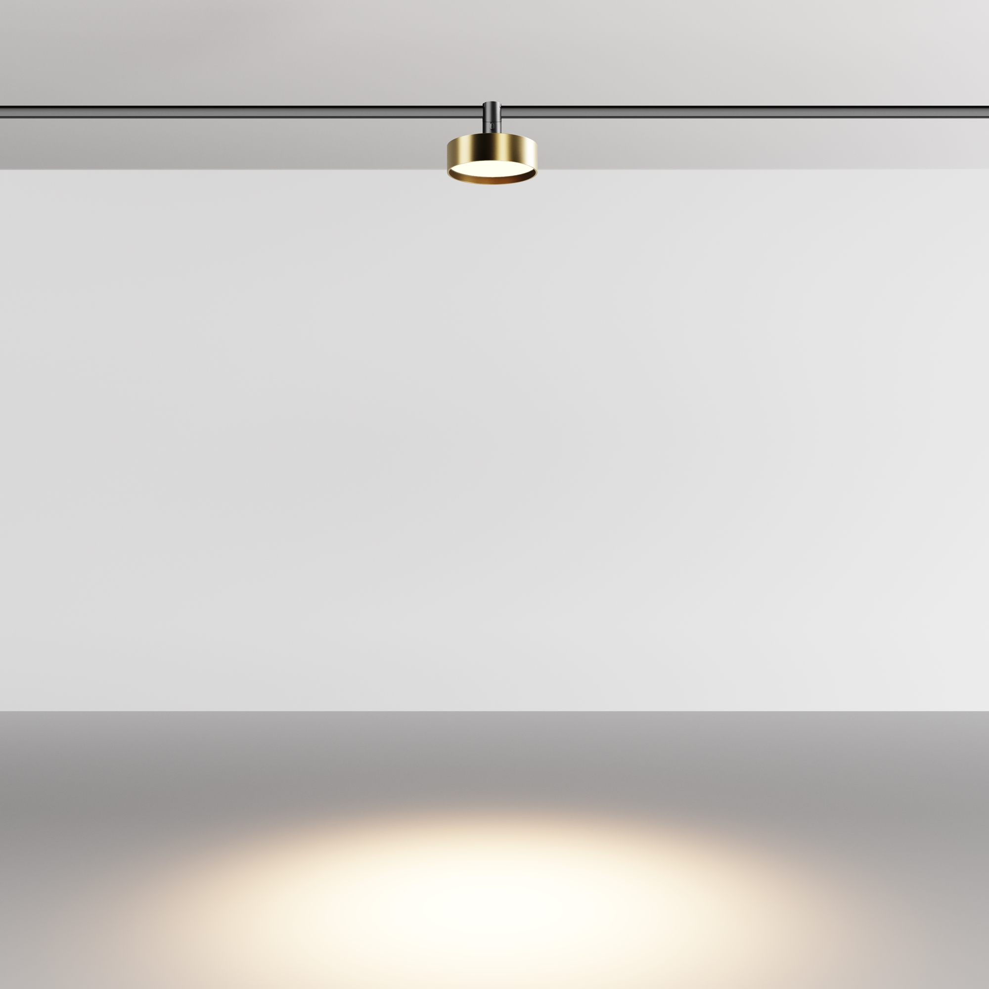 Дополнительная картинка Трековый светильник Technical TR204-1-12W3K-BBS