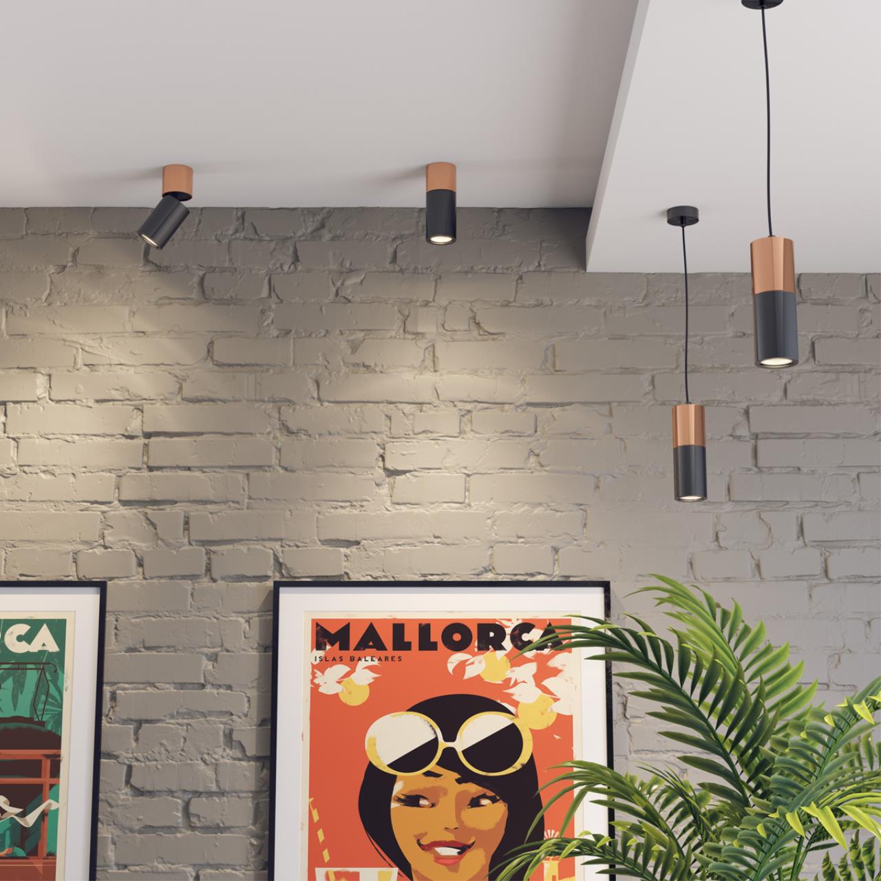 Картинка Потолочный светильник Odeon Light Duetta 3583/1C