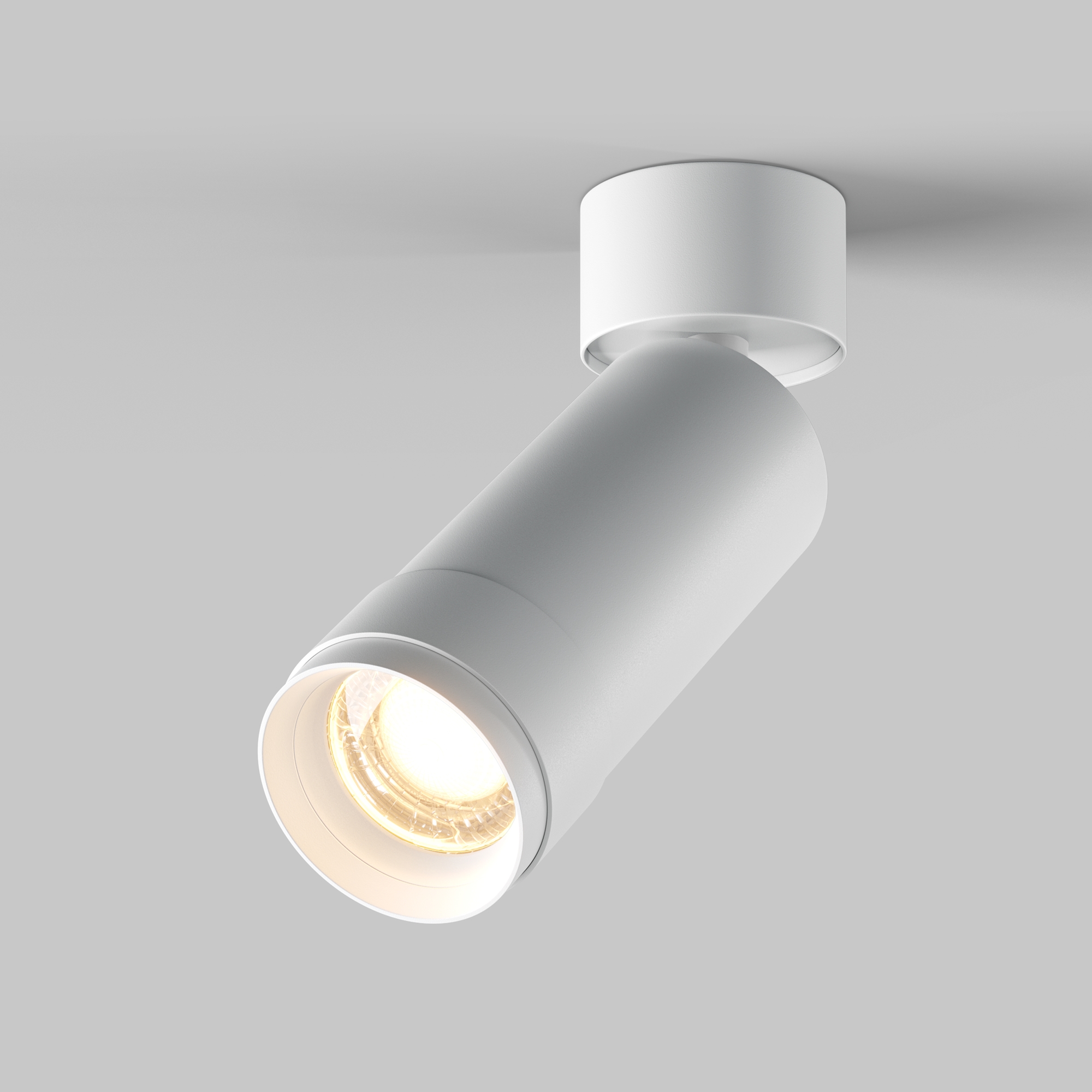 Дополнительная картинка Потолочный светильник Technical C055CL-L12W3K-Z-W