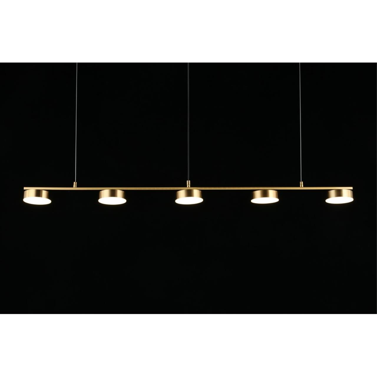 Картинка Подвесная светодиодная люстра Aployt Usia APL.047.13.35