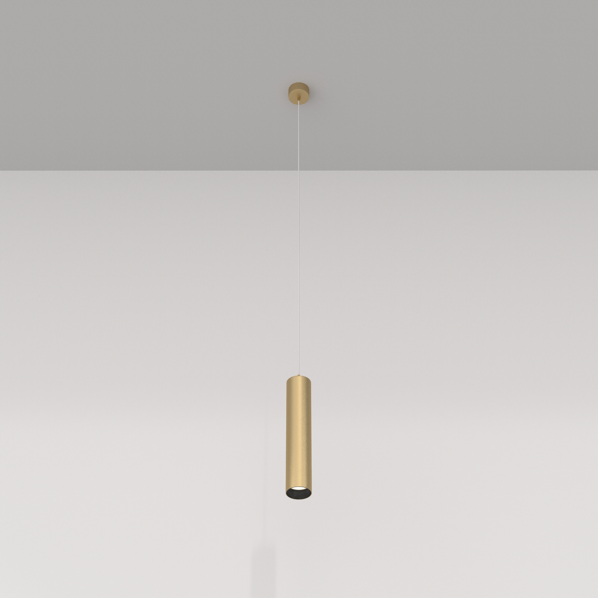 Дополнительная картинка Подвесной светильник Technical P075PL-01MG