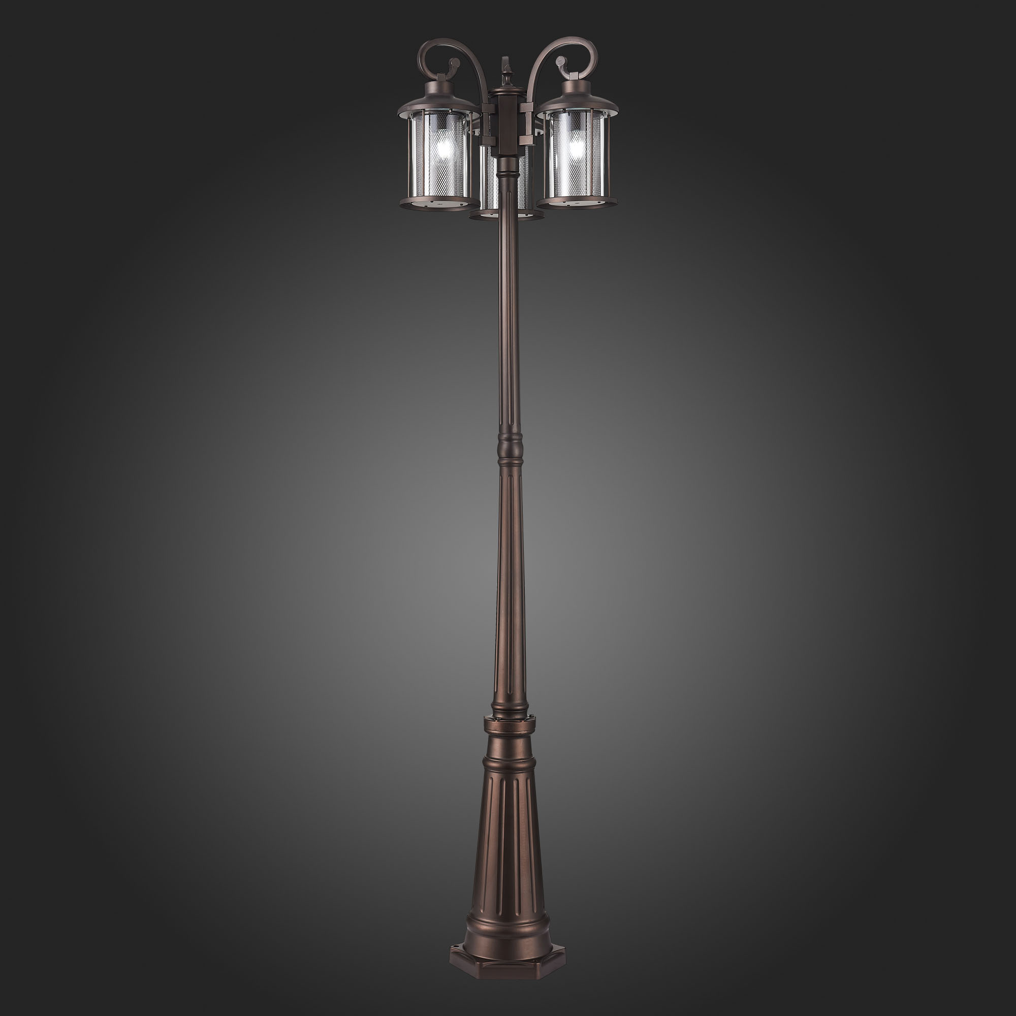 Картинка Садово-парковый светильник ST Luce Lastero SL080.425.03