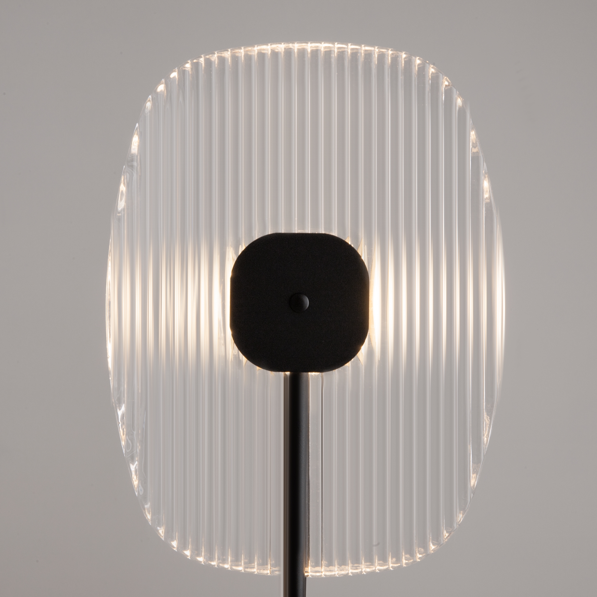 Дополнительная картинка Напольный светильник (торшер) Maytoni MOD152FL-L1BK