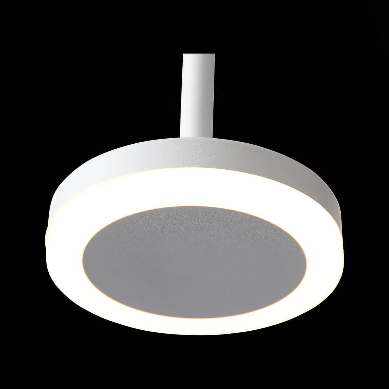 Картинка Подвесной светодиодный светильник ST Luce Ciamella ST104.503.06