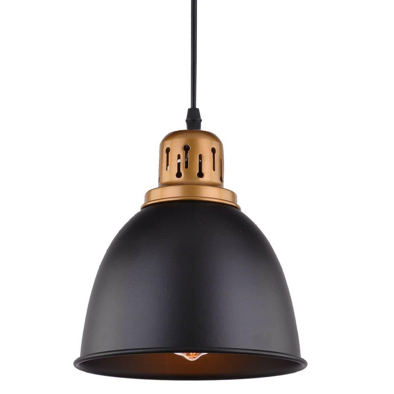 Подвесной светильник Arte Lamp Eurica A4245SP-1BK — фото 9