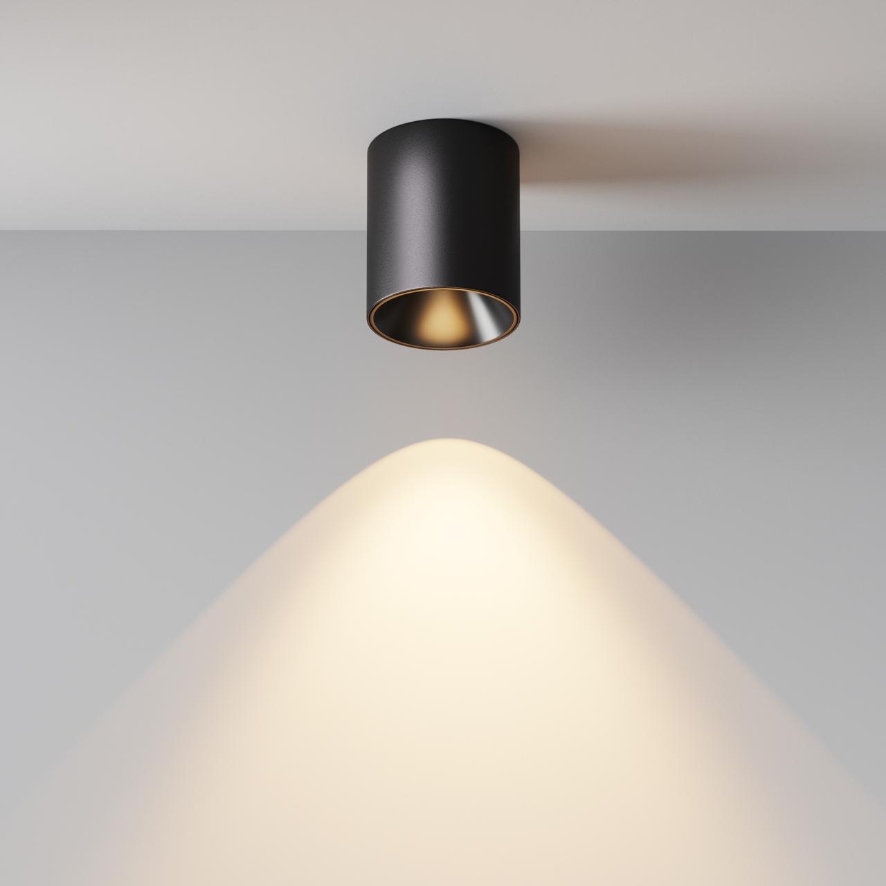Дополнительная картинка Потолочный светильник Technical C064CL-12W3K-RD-B