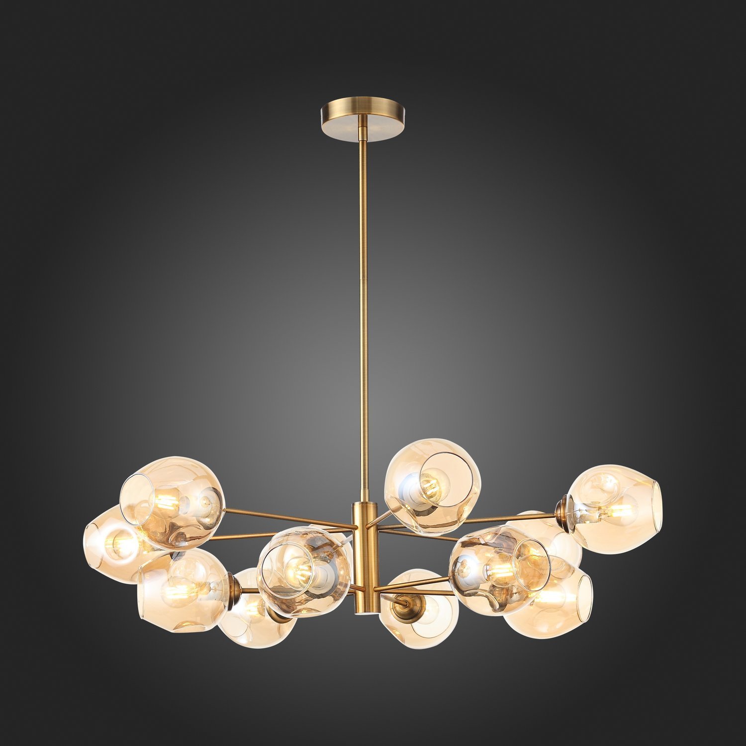 Картинка Подвесная люстра ST Luce Fovia SL1500.203.12