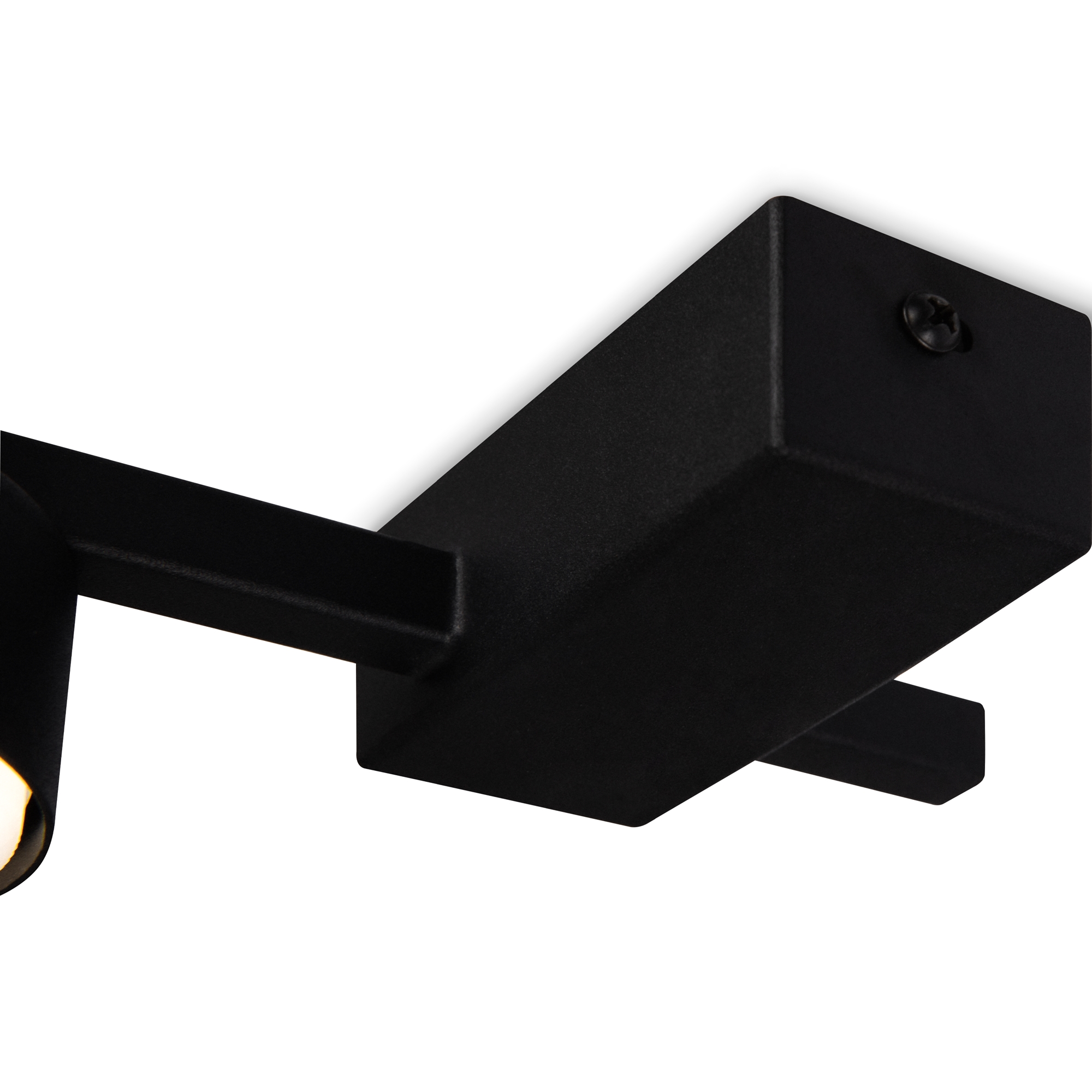 Дополнительная картинка Потолочный светильник Freya FR5363CL-01B