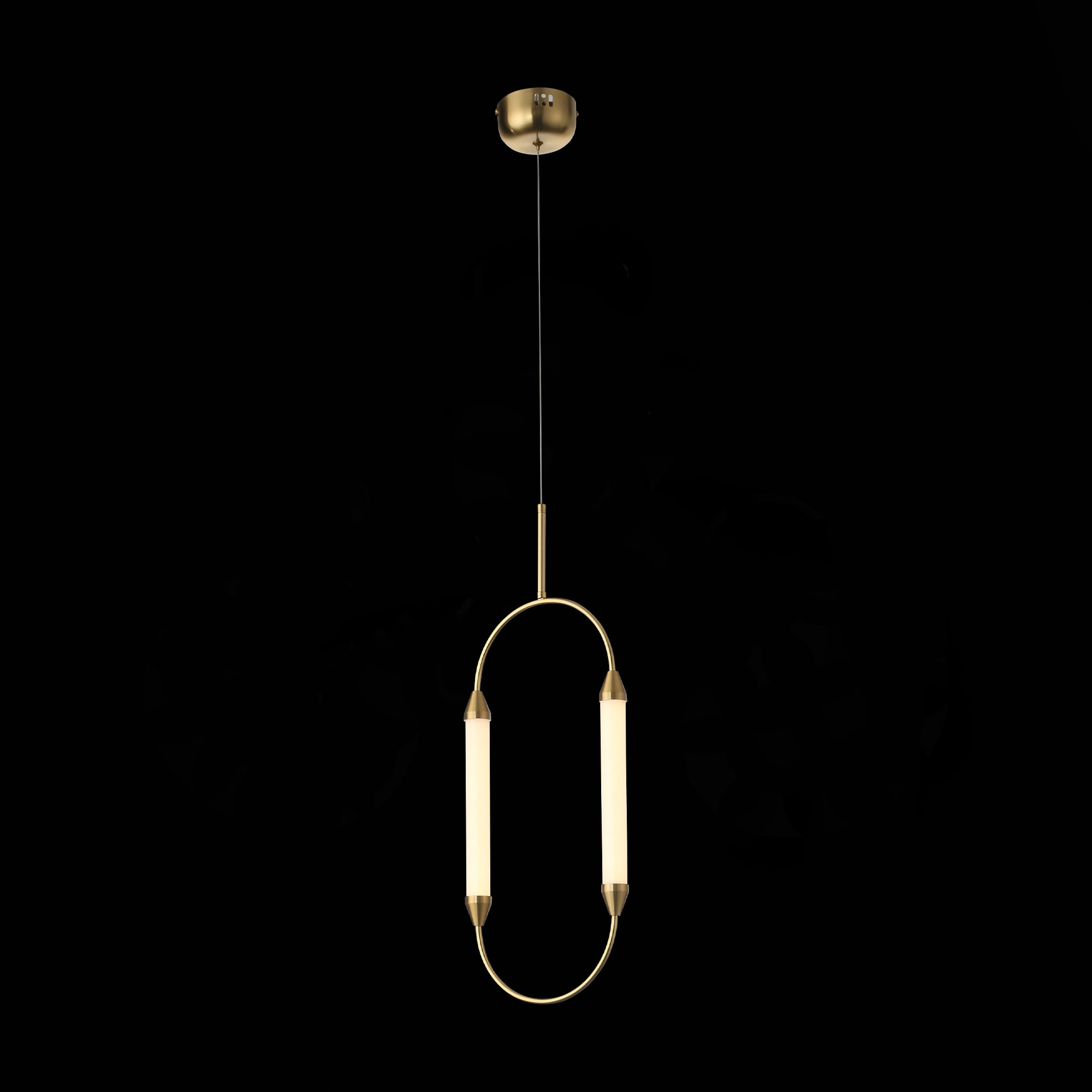 Дополнительная картинка Подвесной светодиодный светильник ST Luce Olbia SL6004.303.02