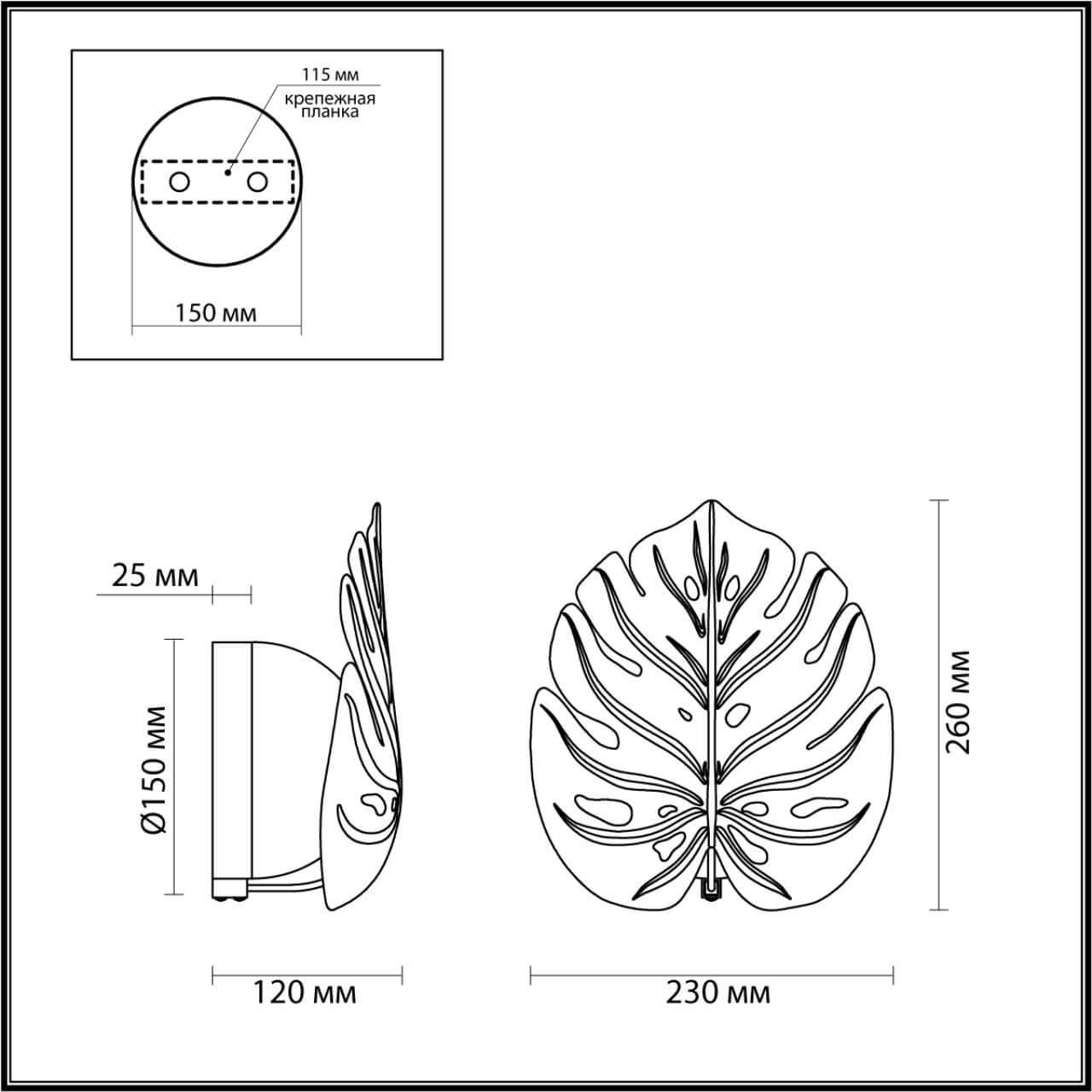 Картинка Бра Odeon Light Modern Jungle 4864/1WA