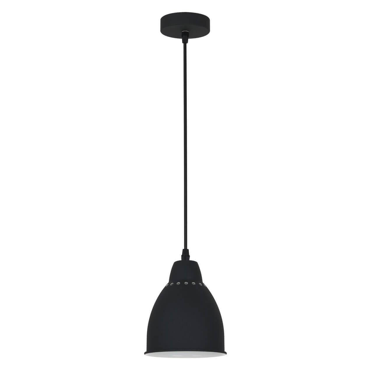 Дополнительная картинка Подвесной светильник Arte Lamp Braccio A2054SP-1BK