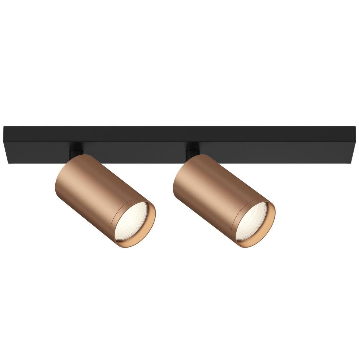 Дополнительная картинка Потолочный светильник Technical C051CL-02BC