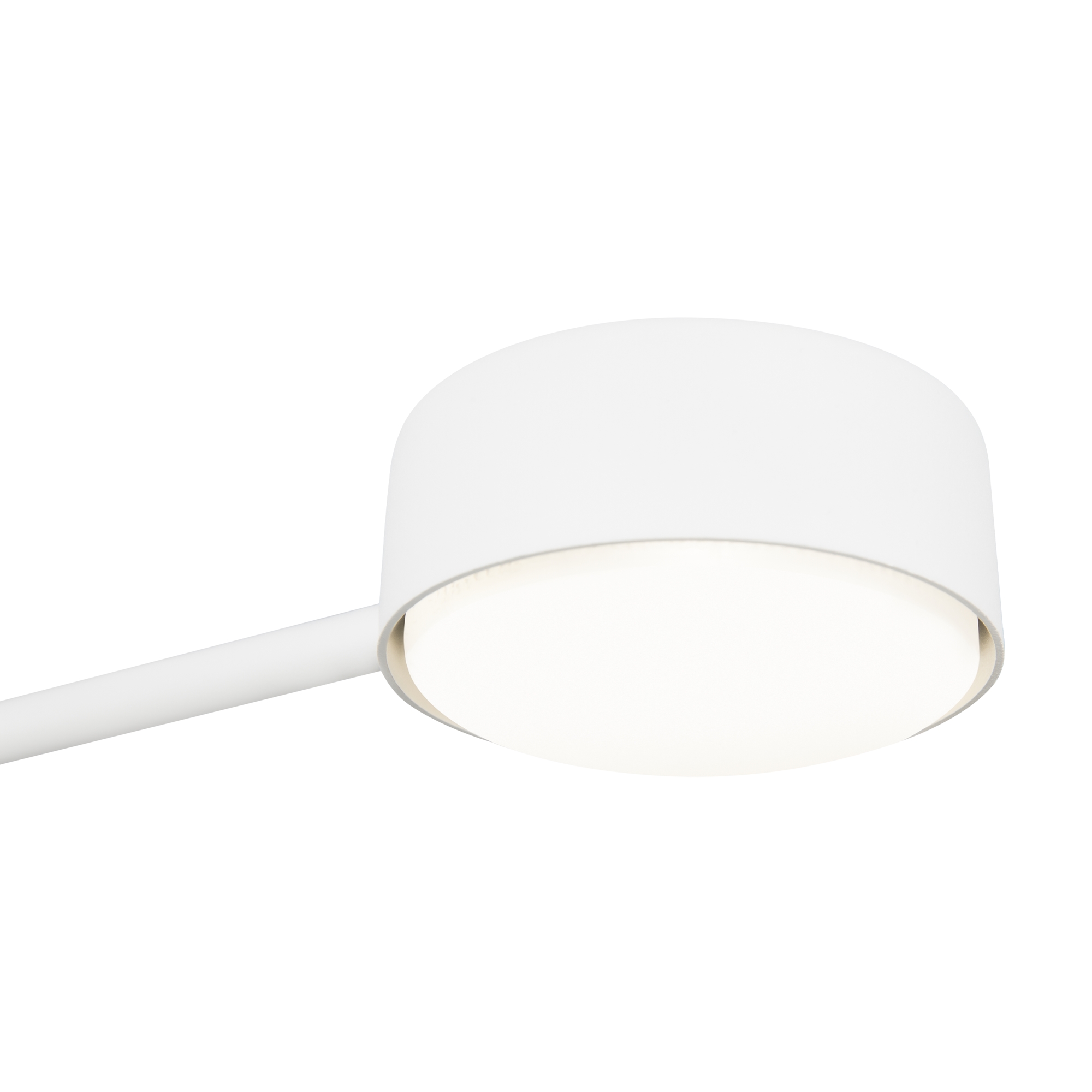 Дополнительная картинка Потолочный светильник Freya FR5363CL-02W1