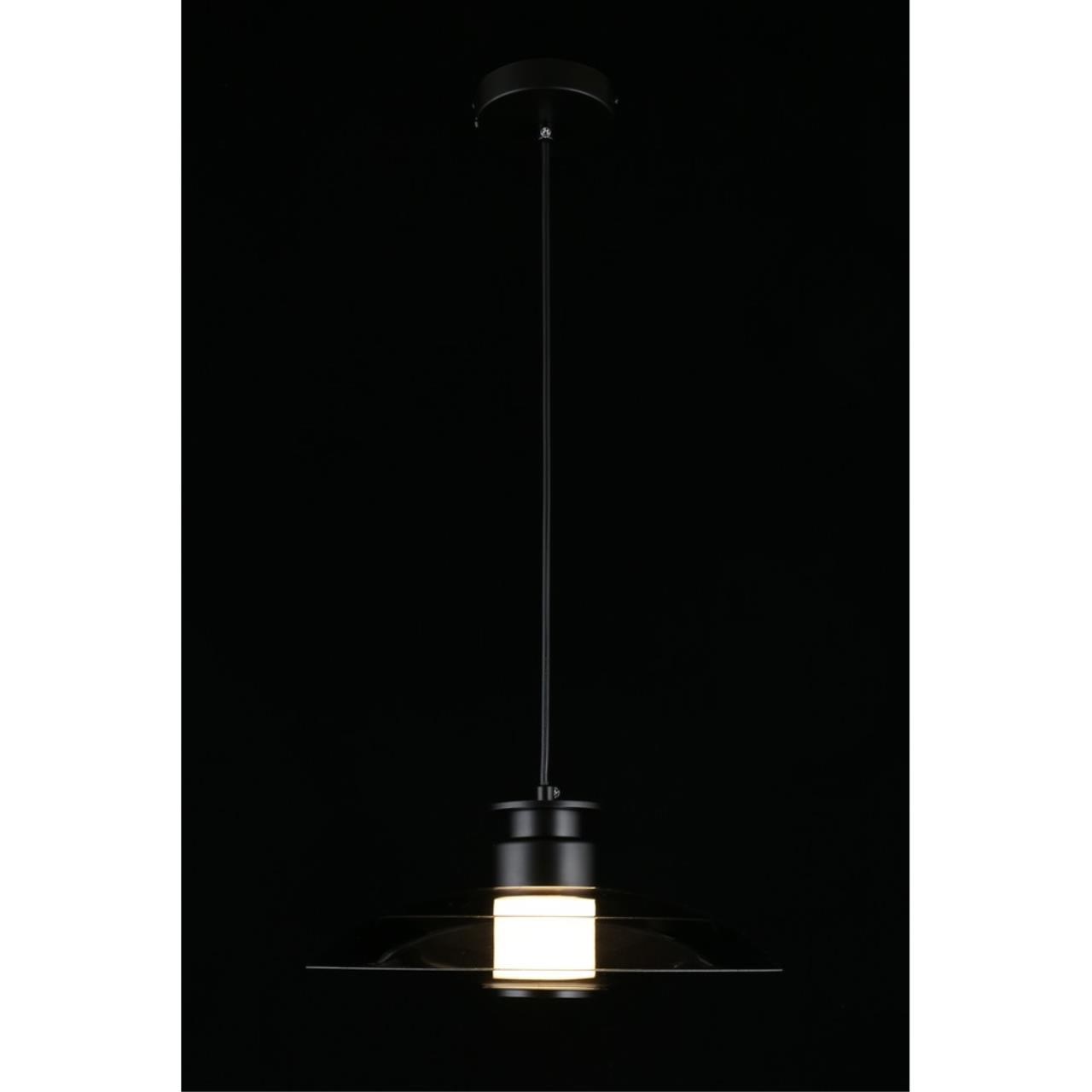 Картинка APL.648.06.10 Светильник подвесной Aployt Stefa