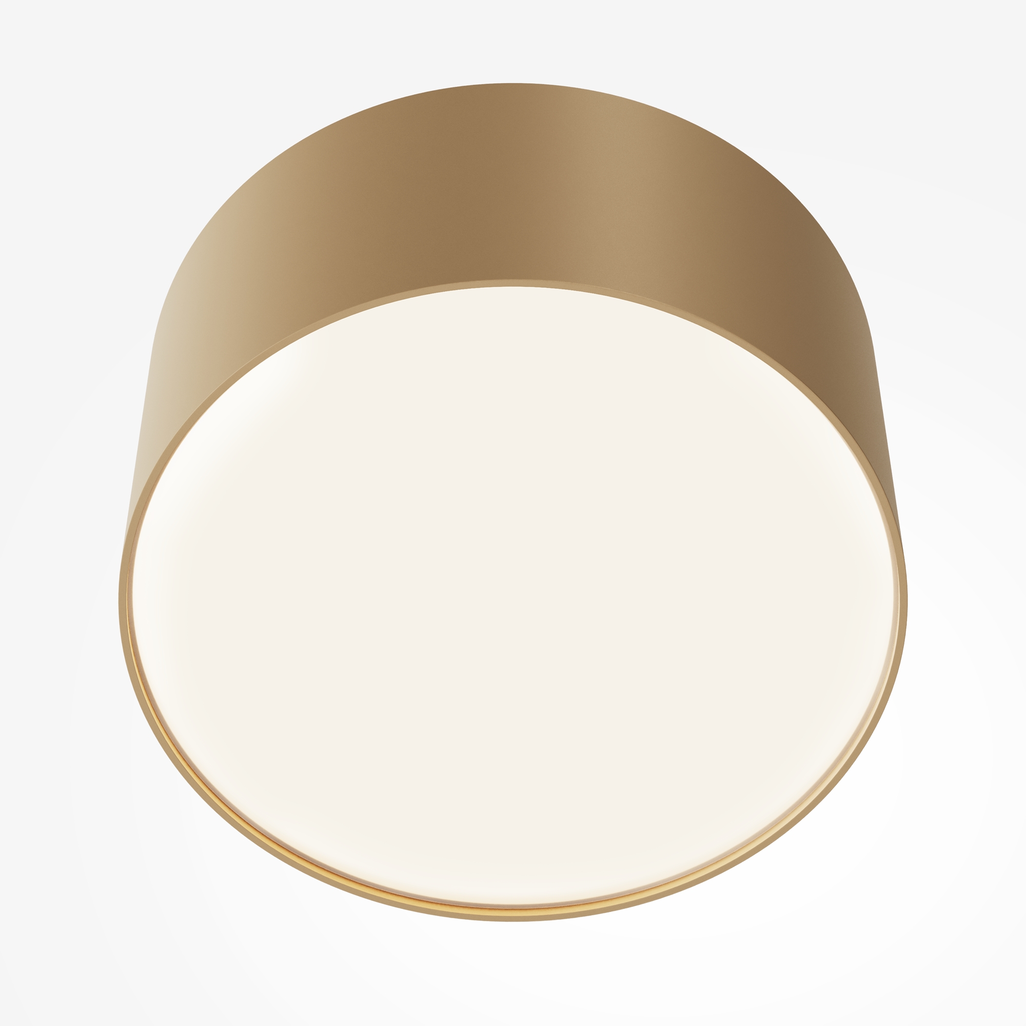 Дополнительная картинка Потолочный светильник Technical C032CL-12W4K-RD-MG