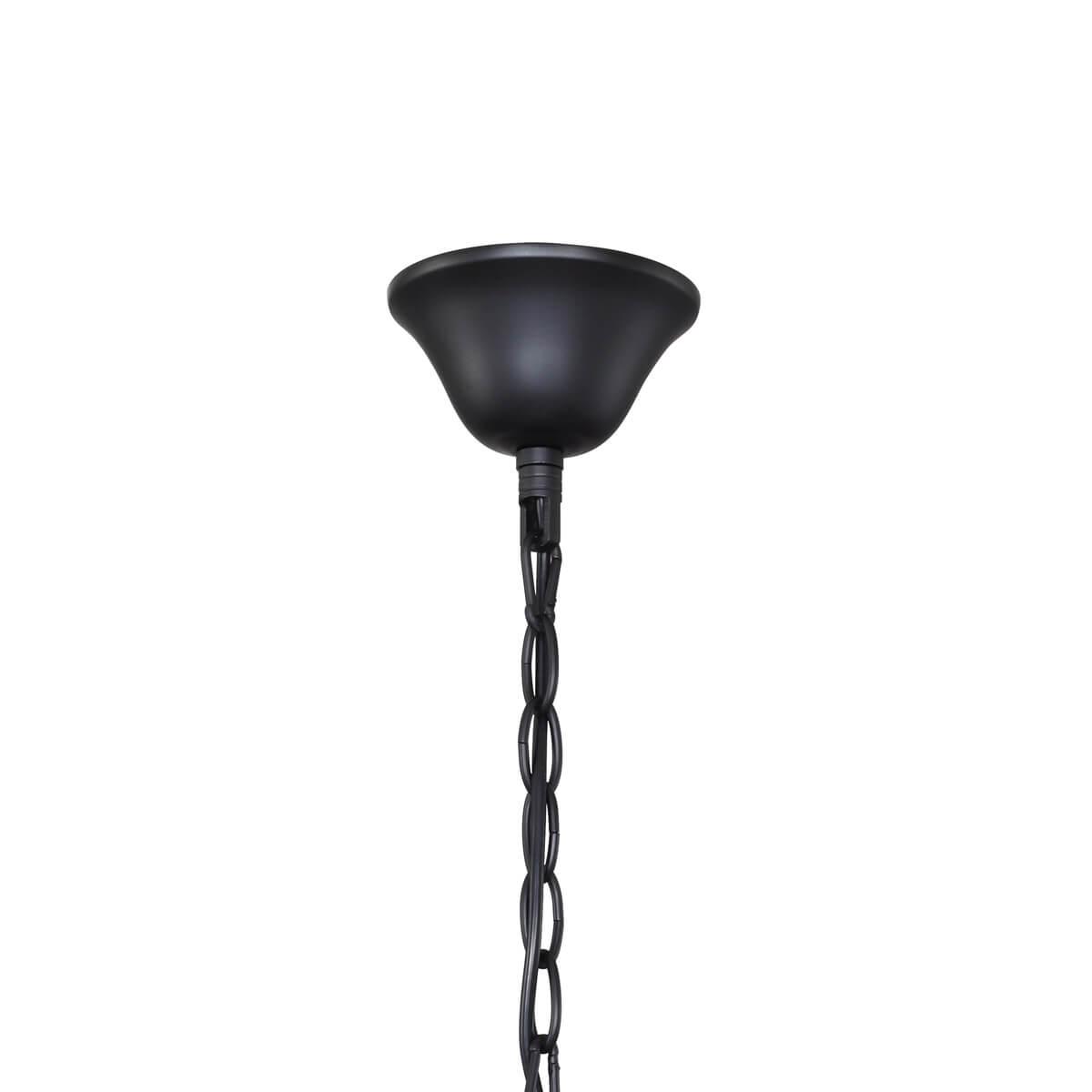 Дополнительная картинка Подвесная люстра F-Promo Cirque 2169-5P