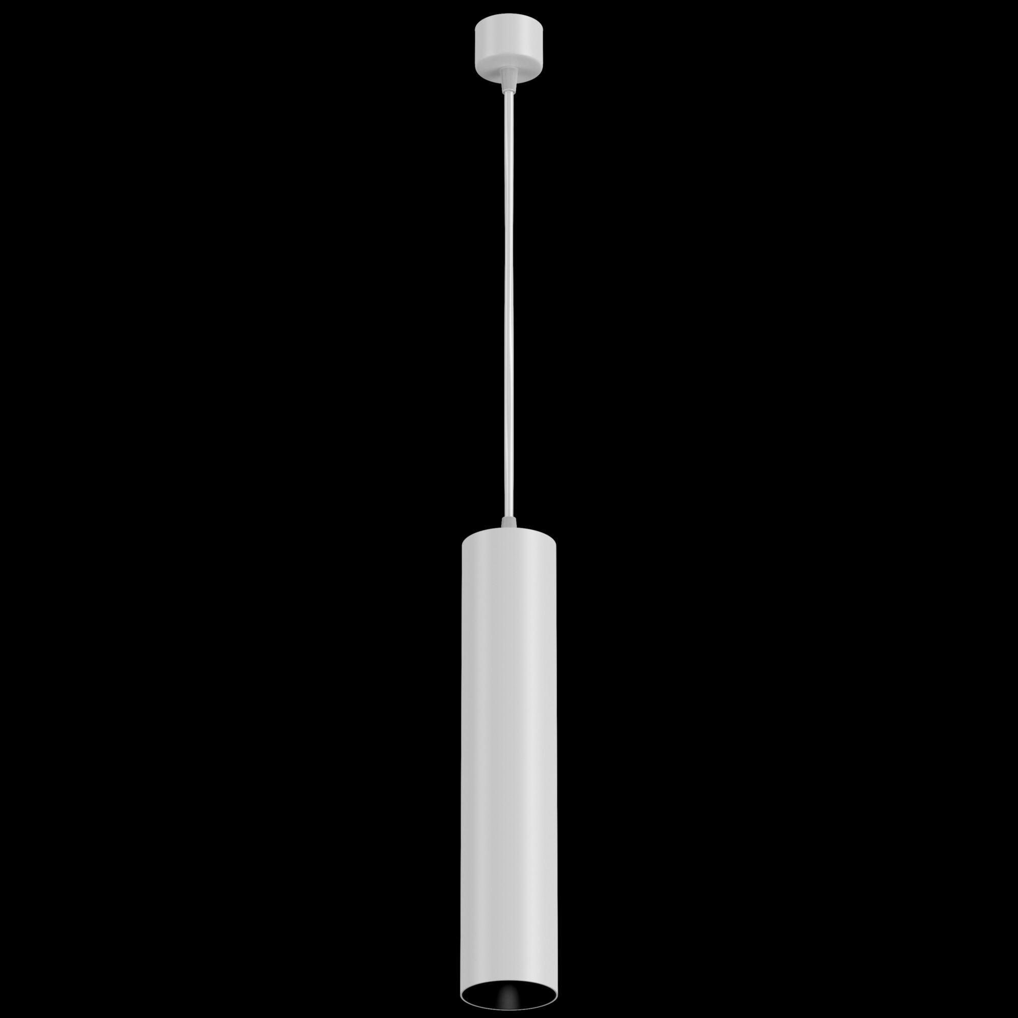 Дополнительная картинка Подвесной светильник Technical P075PL-01W