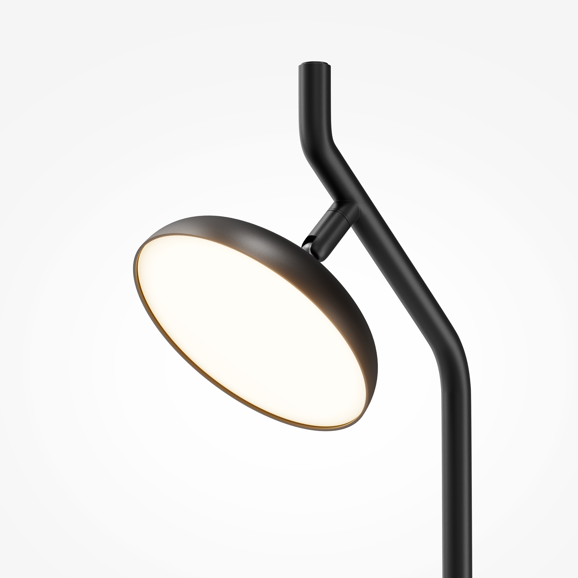 Картинка Напольный светильник (торшер) Maytoni MOD451FL-L8B3K VITA