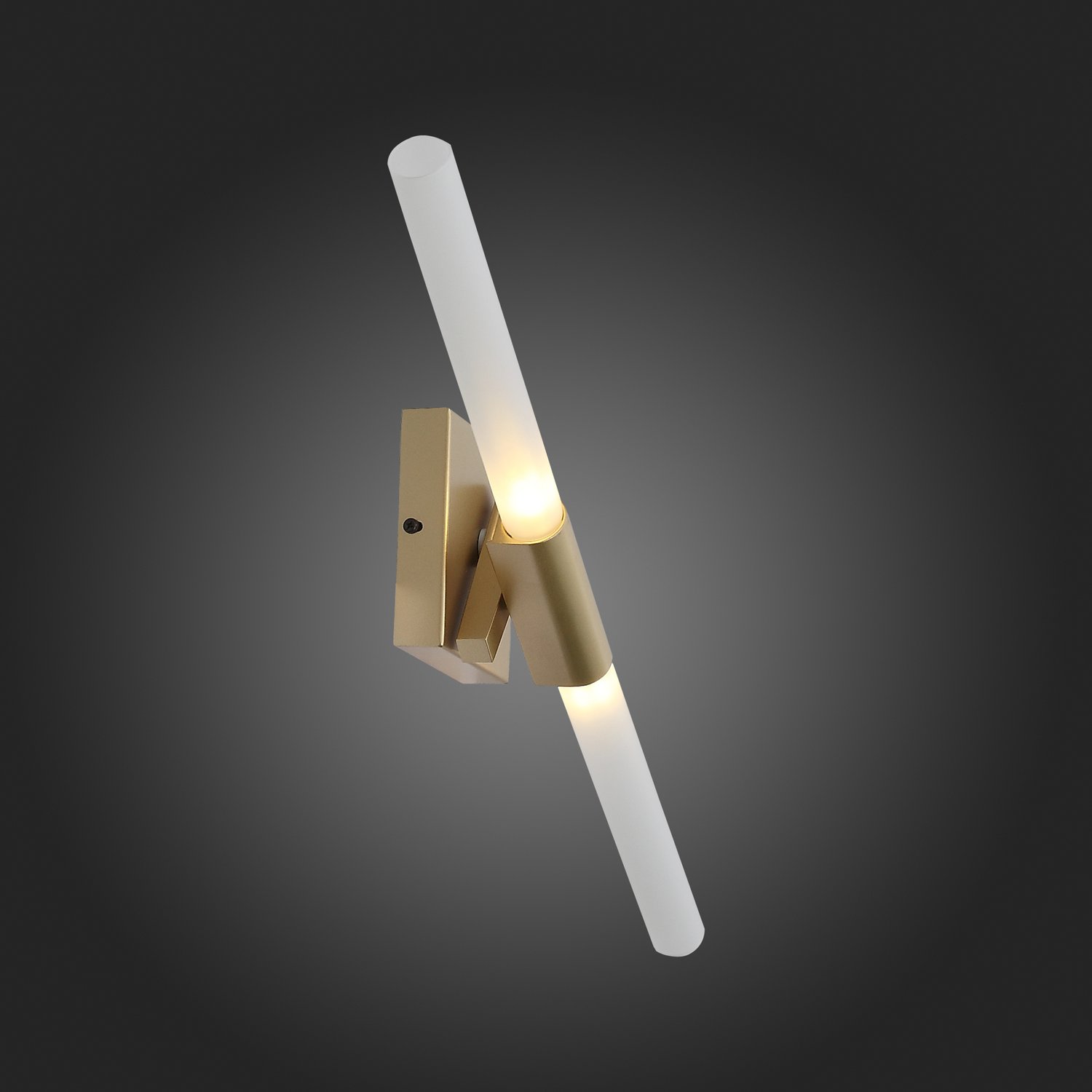 Картинка Настенный светильник ST Luce Laconicita SL947.201.02