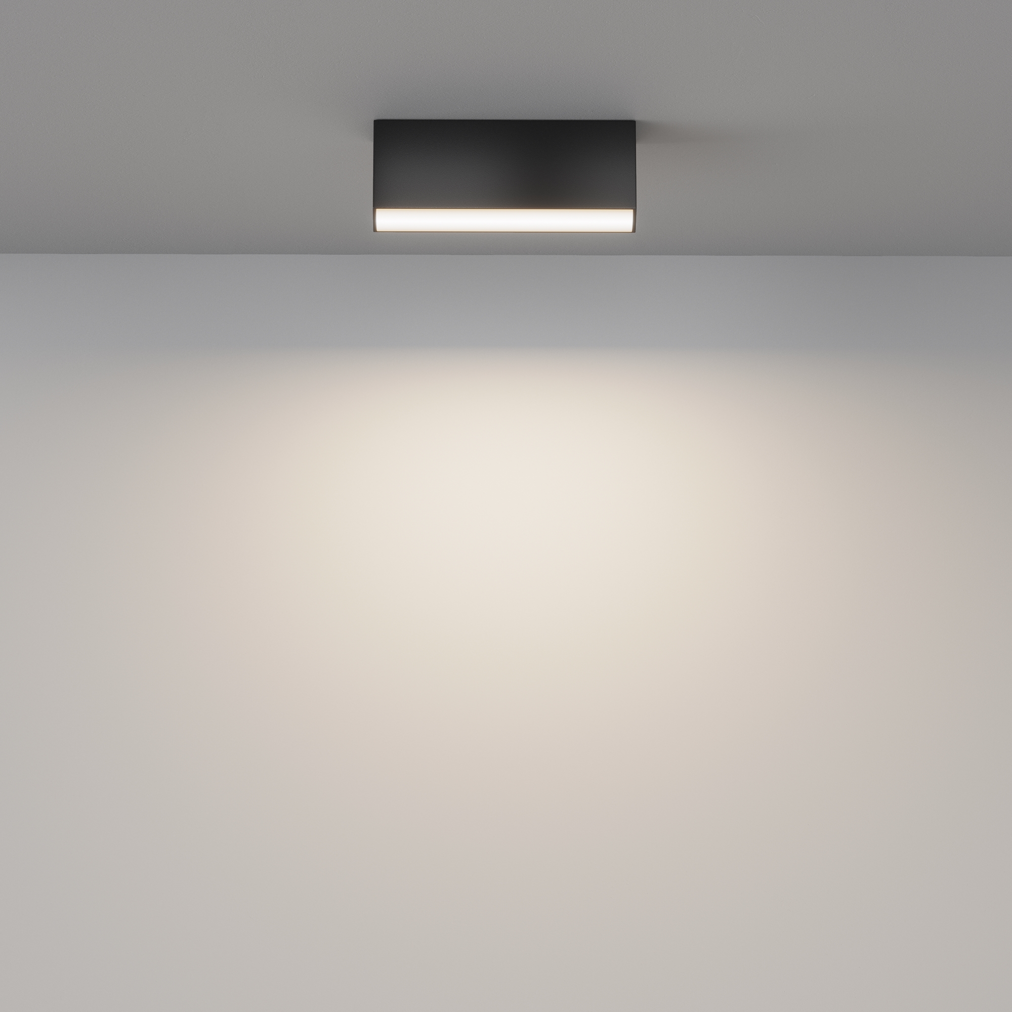 Картинка Потолочный светильник Technical C068CL-12W3-6K-B