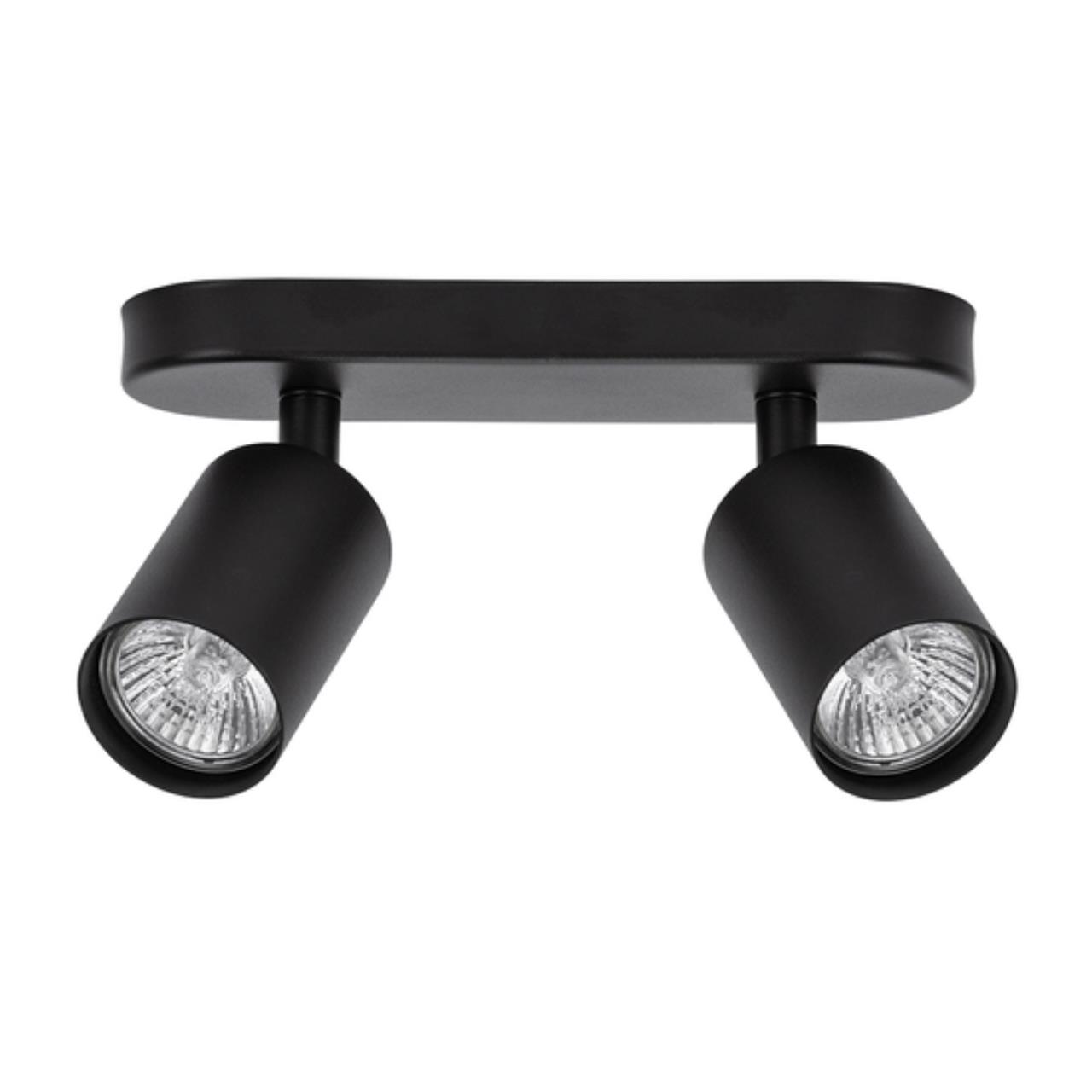 Картинка Потолочный светильник Arte Lamp AQUARIUS A3226PL-2BK