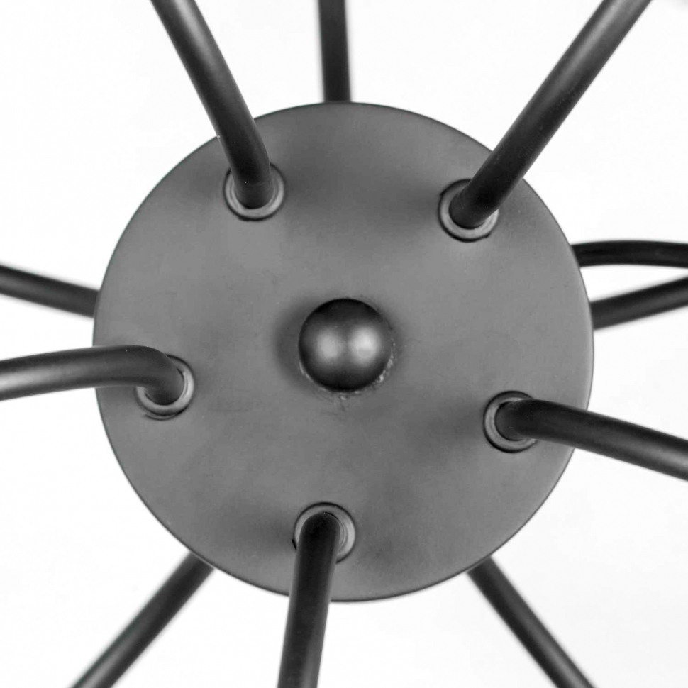 Картинка Подвесная люстра Lussole Lgo Roosevelt LSP-8198