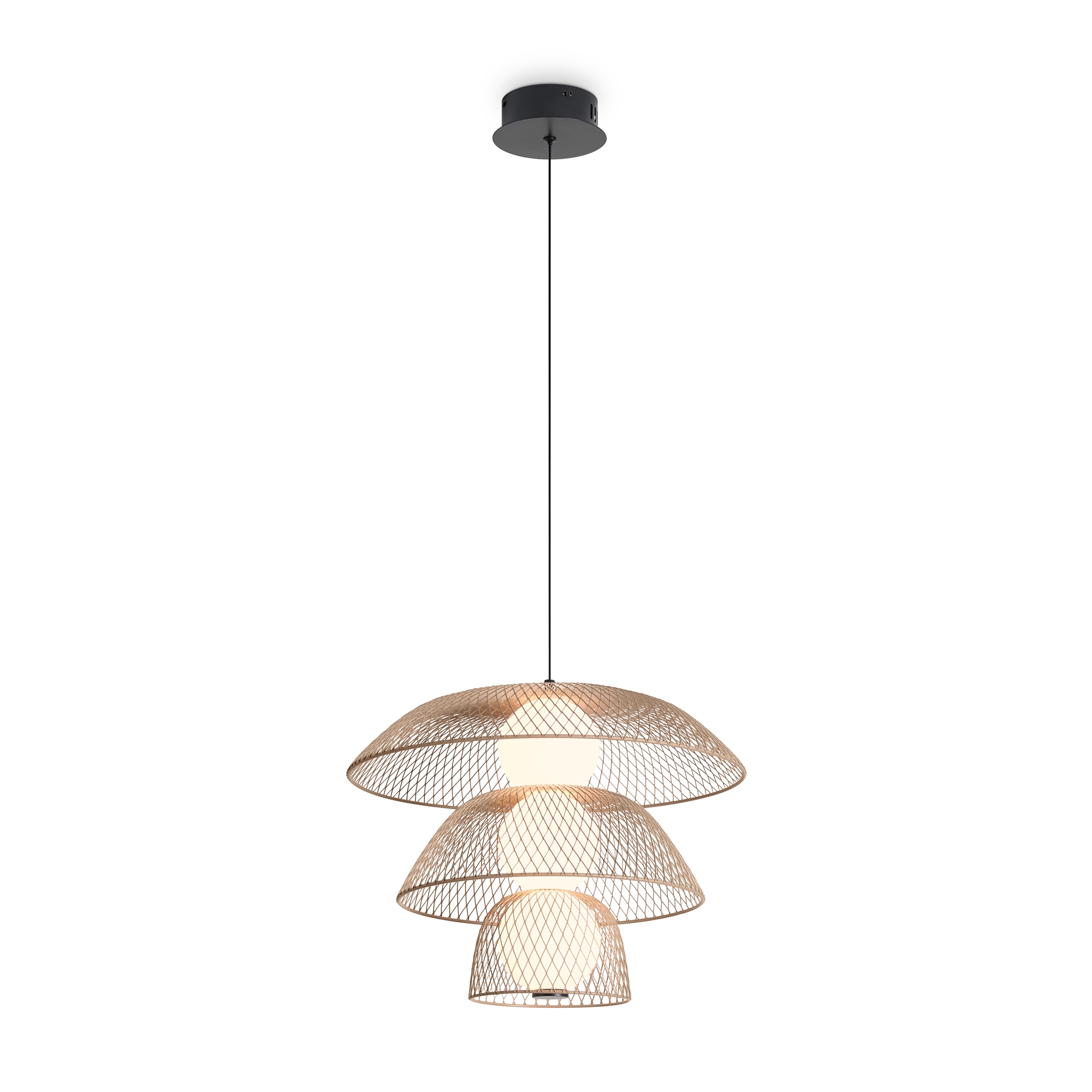 подвесной светильник freya fr5545pl-l5bg, доставка по Казахстану 