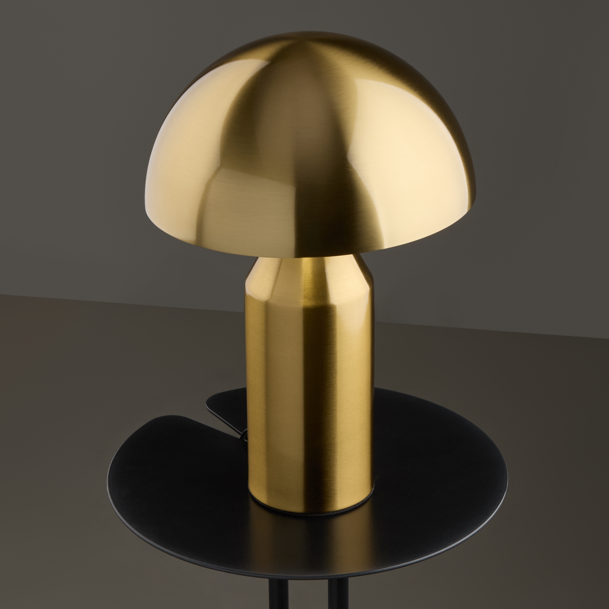 Дополнительная картинка Настольный светильник Freya FR5218TL-01BS