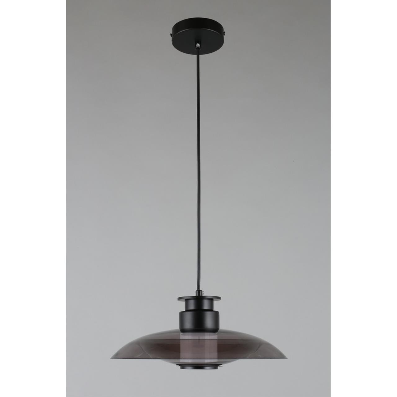 Картинка APL.648.06.10 Светильник подвесной Aployt Stefa