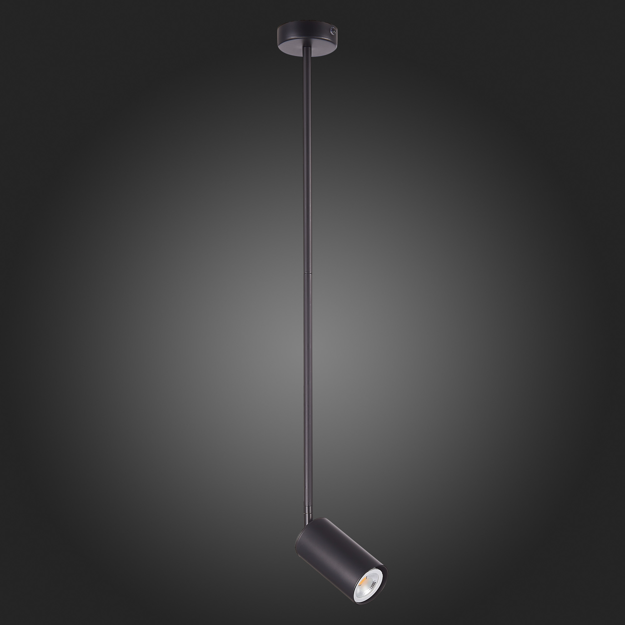 Картинка Подвесной светильник ST Luce Sormano SL1206.403.01