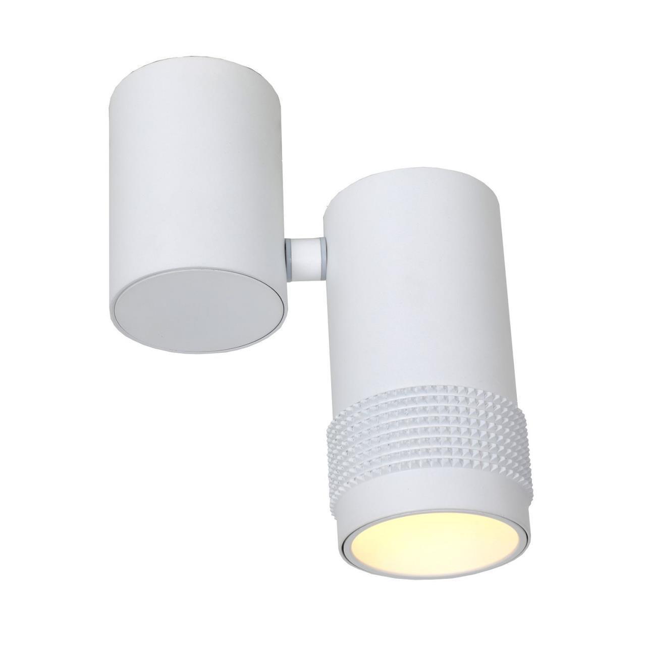 Картинка Спот Favourite Kinescope 2453-1U