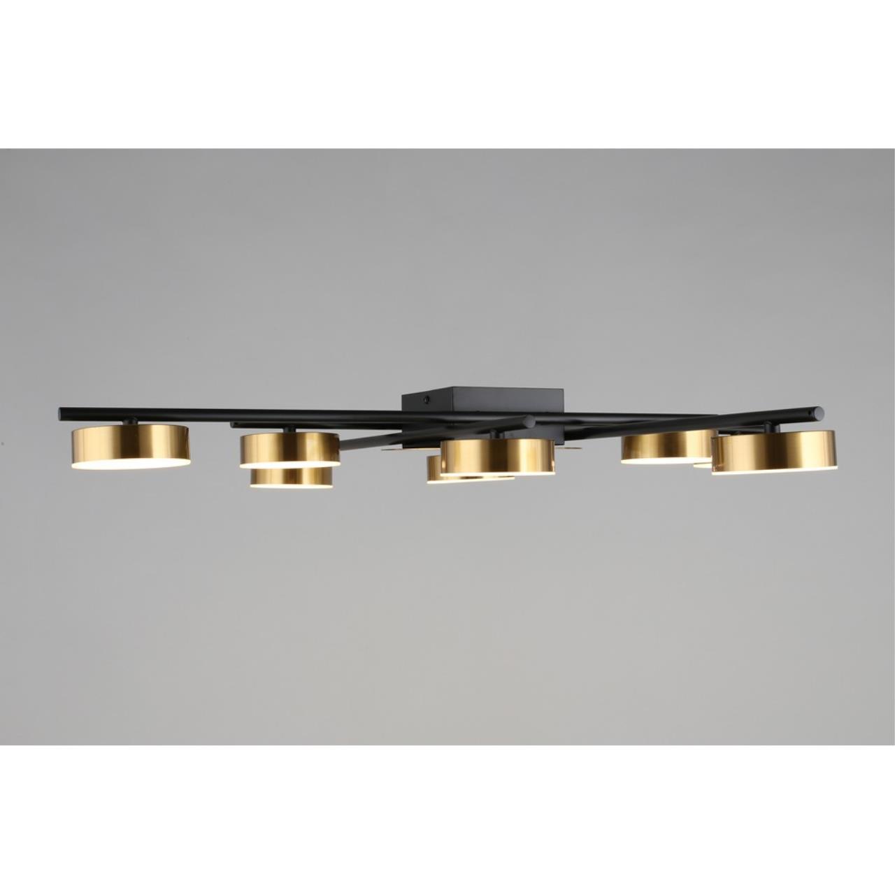 Картинка Потолочная светодиодная люстра Aployt Delayn APL.042.07.56