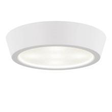Потолочные Потолочный светодиодный светильник Lightstar Urbano 214904, доставка по Казахстану 