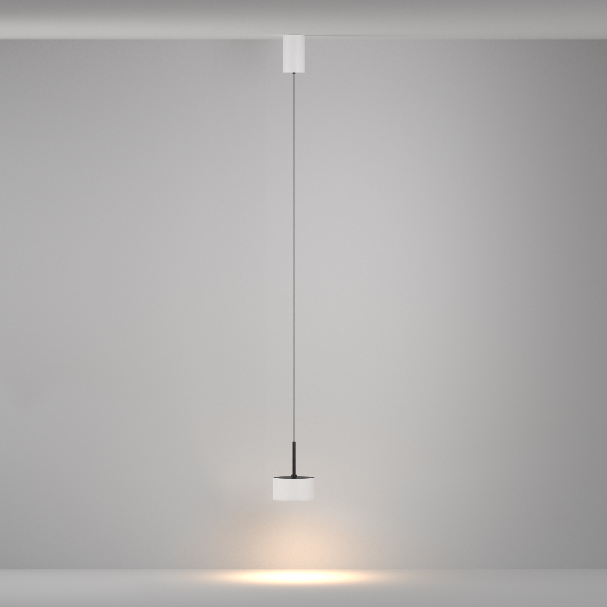 Дополнительная картинка Подвесной светильник Technical P102PL-12W3K-W