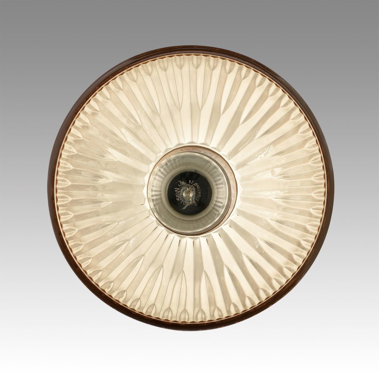 Картинка 8054/1А Lumion Подвесной светильник NATANA