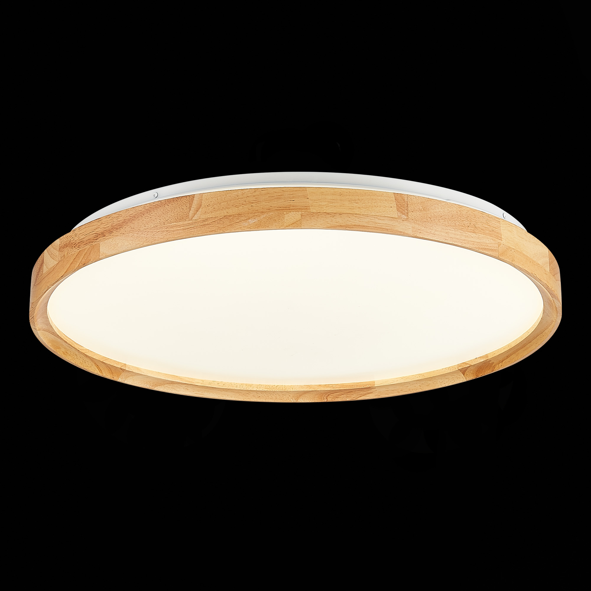 Картинка Потолочный сетодиодный светильник Evoluce Delia SLE201382-01