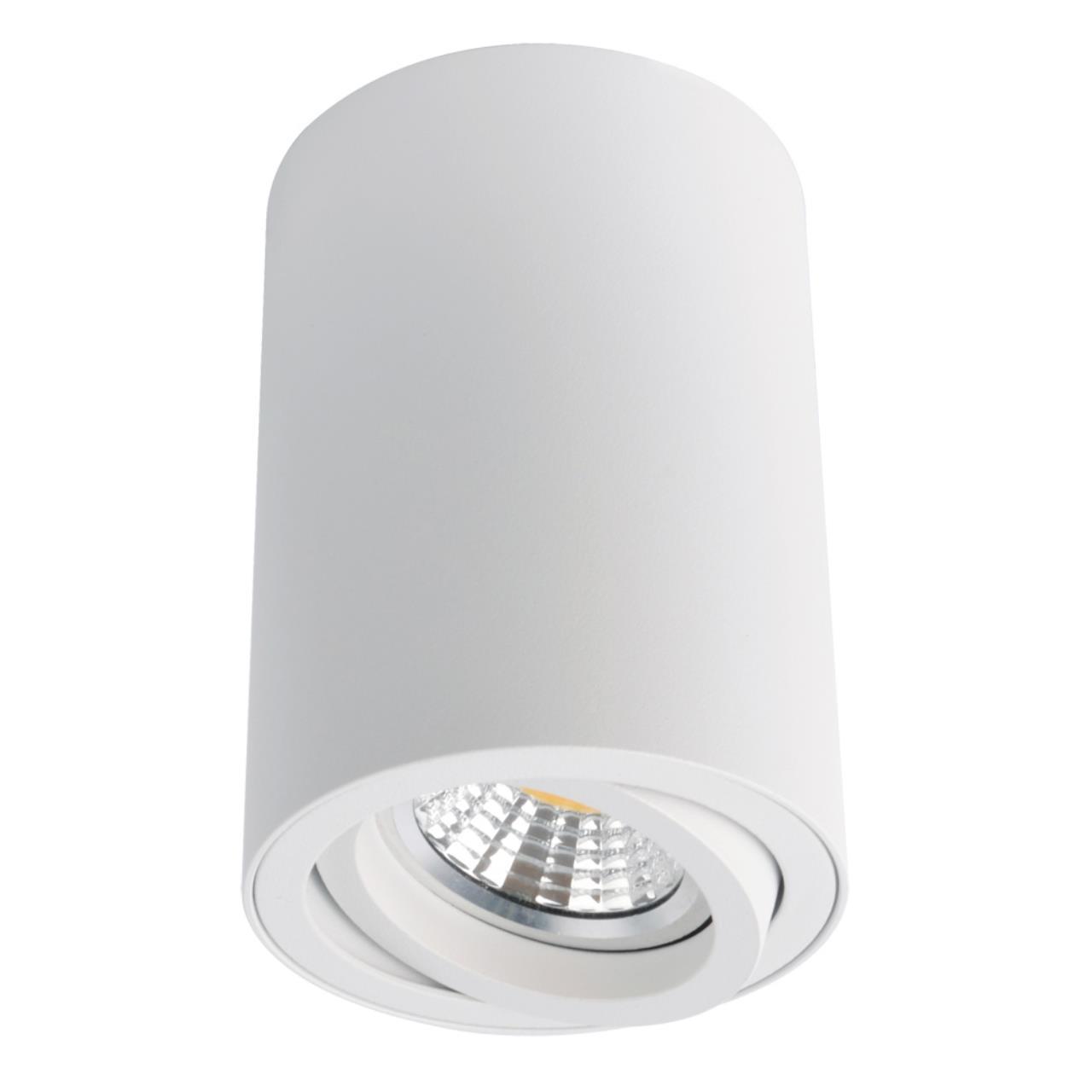 Дополнительная картинка Потолочный светильник Arte Lamp A1560PL-1WH