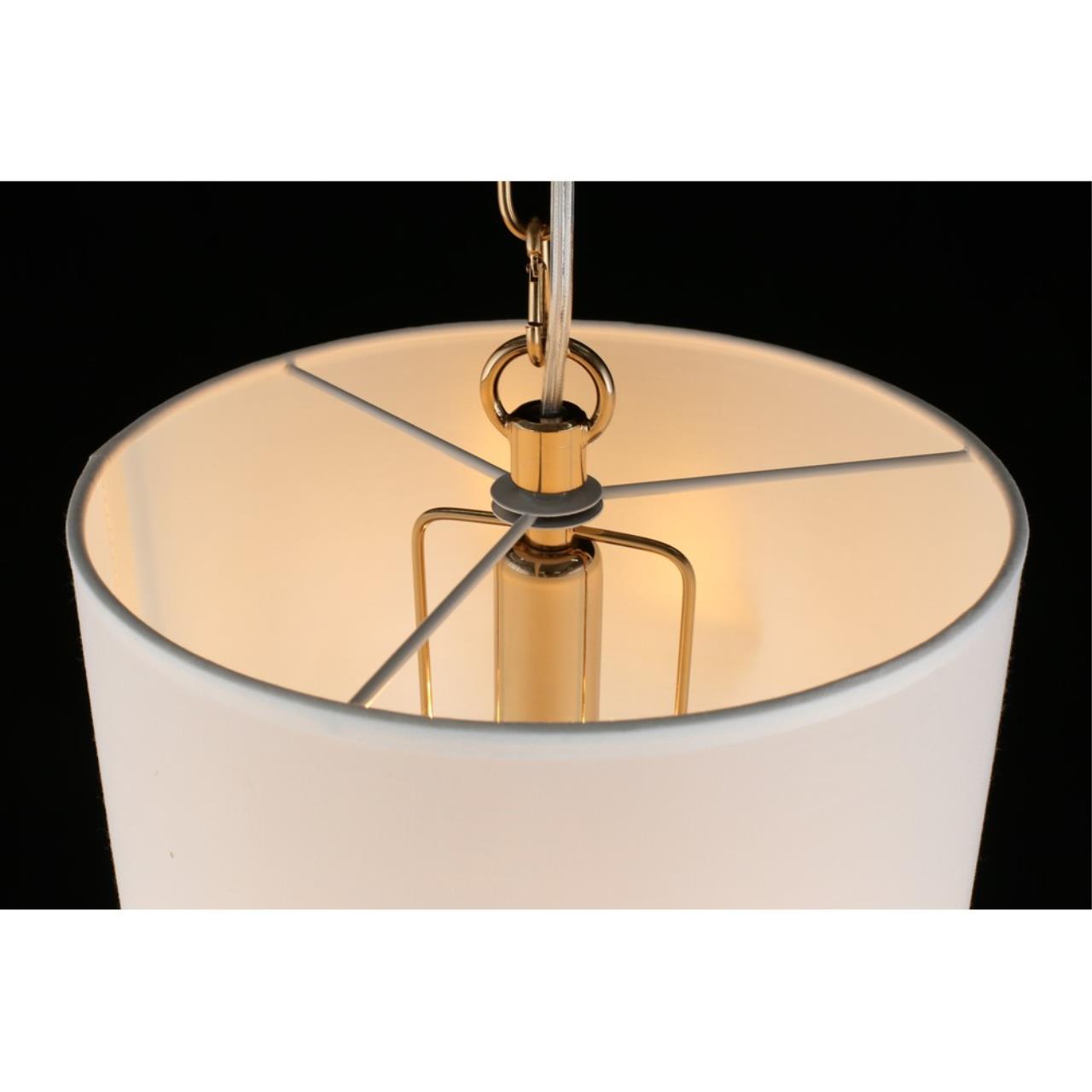 Картинка Подвесной светильник Aployt Franula APL.724.06.01