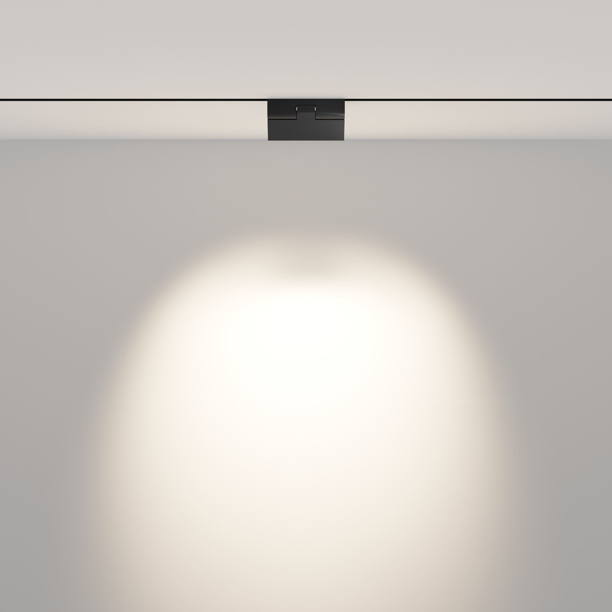 Дополнительная картинка Трековый светильник Technical TR033-2-6W4K-B